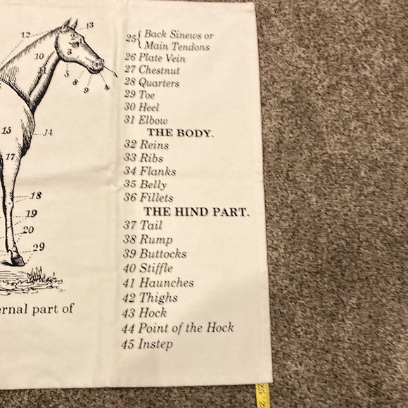 NWOT-Horse Canvas - Picture 4 of 4